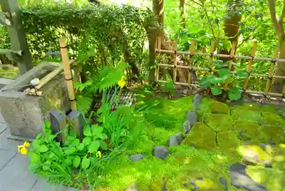 杉本寺(神奈川県)