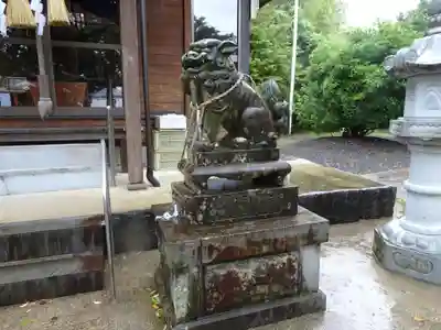 河内阿蘇神社の狛犬