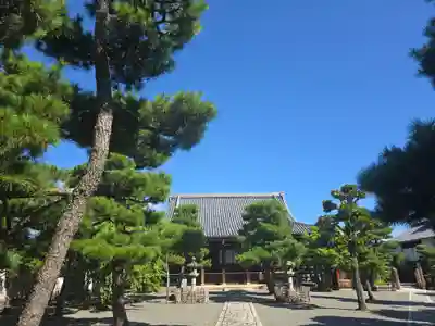 上善寺(京都府)