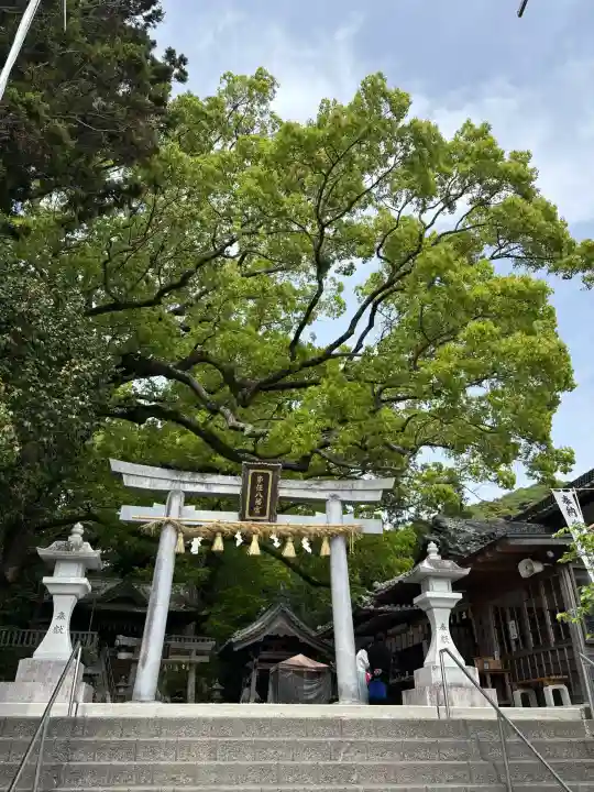 事任八幡宮の{uncategorized: "未分類", other: "その他", undefined: "問題あり", building: "その他建物", grave: "お墓", sacred_gate: "鳥居", guardian: "狛犬", statue: "像", buddha: "仏像", history: "歴史", nature: "自然", garden: "庭園", animal: "動物", pagoda: "塔", temizu: "手水舎", mountain_gate: "山門・神門", sanctuary: "本殿・本堂", subordinate: "末社・摂社", art: "芸術", scenery: "景色", jizo: "地蔵", ema: "絵馬", goshuin: "御朱印", omikuji: "おみくじ", items: "授与品その他", amulet: "お守り", goshuincho: "御朱印帳", eats: "食事", festival: "お祭り", votive_dance: "神楽", shichigosan: "七五三参", wedding: "結婚式", experience: "体験その他", initially: "初詣", around: "周辺", anti_infection: "感染症対策"}