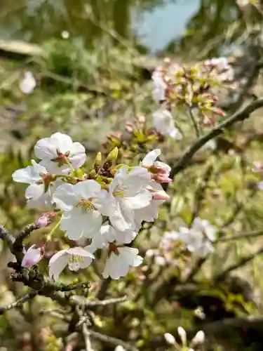 欣浄寺(京都府)