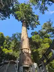 由岐神社(京都府)