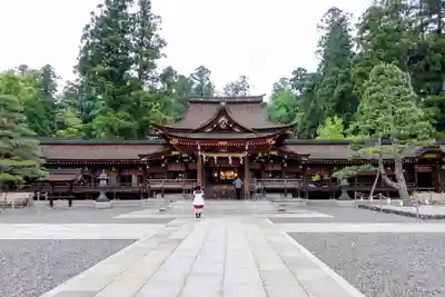 多賀大社の本殿・本堂