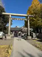 浅草神社(東京都)