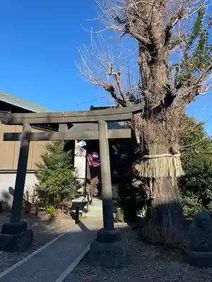 筑土八幡神社(東京都)