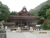 出雲大神宮の本殿・本堂