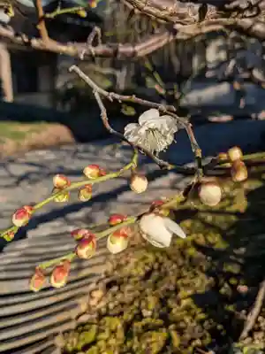 圓照寺(東京都)