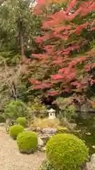 善峯寺(京都府)