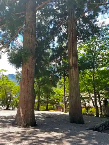 白川八幡神社の自然