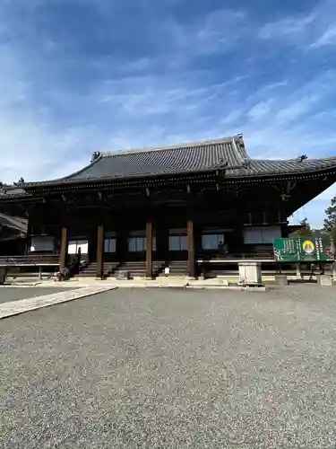 西教寺の本殿・本堂