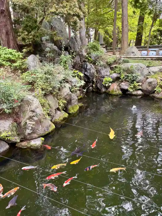 建部大社の{uncategorized: "未分類", other: "その他", undefined: "問題あり", building: "その他建物", grave: "お墓", sacred_gate: "鳥居", guardian: "狛犬", statue: "像", buddha: "仏像", history: "歴史", nature: "自然", garden: "庭園", animal: "動物", pagoda: "塔", temizu: "手水舎", mountain_gate: "山門・神門", sanctuary: "本殿・本堂", subordinate: "末社・摂社", art: "芸術", scenery: "景色", jizo: "地蔵", ema: "絵馬", goshuin: "御朱印", omikuji: "おみくじ", items: "授与品その他", amulet: "お守り", goshuincho: "御朱印帳", eats: "食事", festival: "お祭り", votive_dance: "神楽", shichigosan: "七五三参", wedding: "結婚式", experience: "体験その他", initially: "初詣", around: "周辺", anti_infection: "感染症対策"}