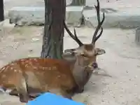 厳島神社(広島県)