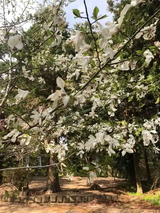 正一位 若草稲荷神社の自然