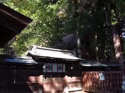 諏訪大社下社秋宮の本殿・本堂