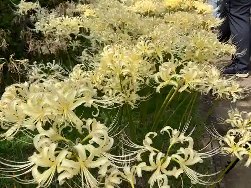 横浜　西方寺(神奈川県)