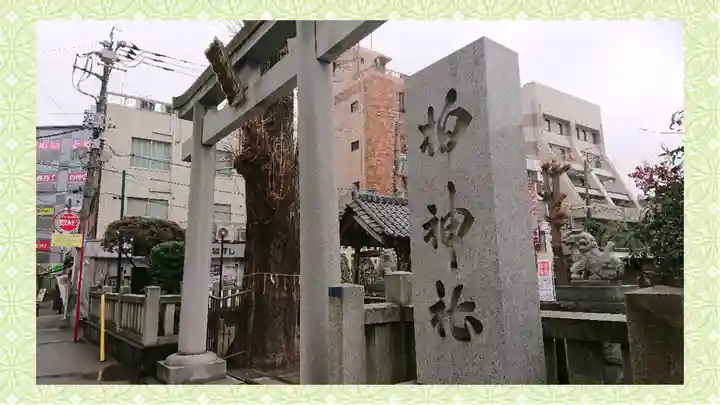 柏神社(千葉県)