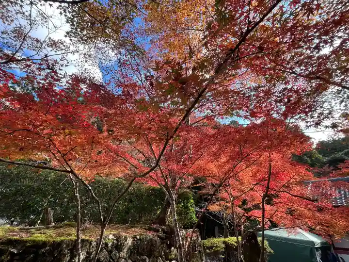 神峯山寺(大阪府)