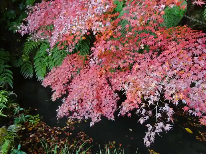 杉本寺(神奈川県)