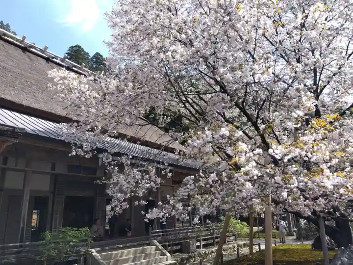 常照皇寺(京都府)