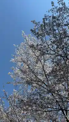 吉備津岡辛木神社(岡山県)