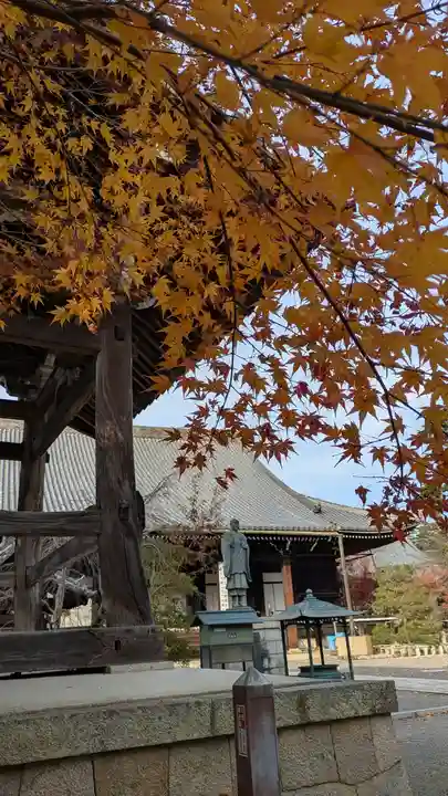 光明寺(粟生光明寺)(京都府)