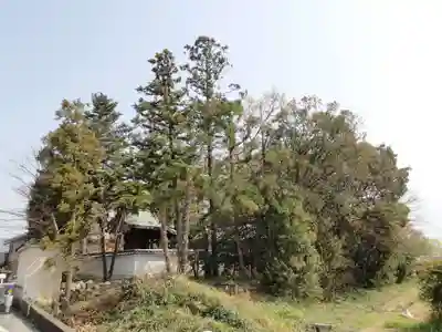 倭恩智神社の周辺