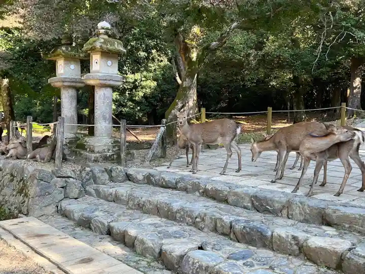 春日大社(奈良県)
