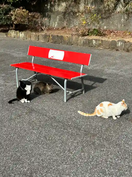 唐澤山神社(栃木県)