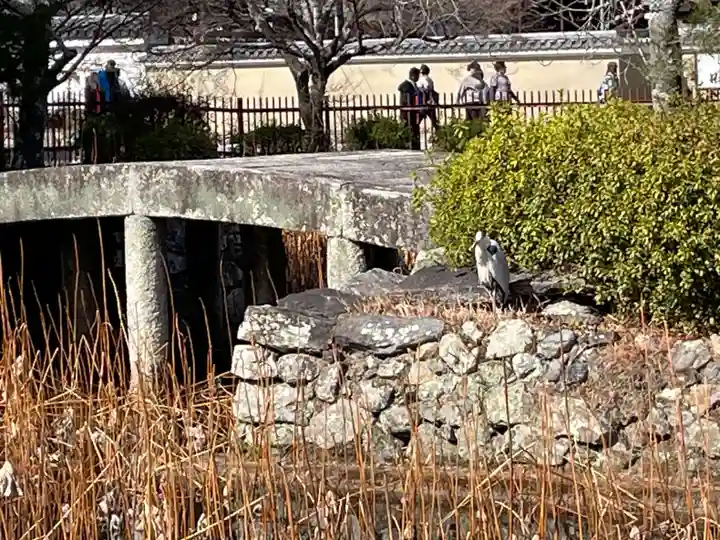 天龍寺(京都府)