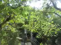 般若院(静岡県)