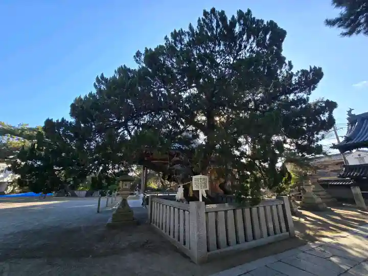 高砂神社の{uncategorized: "未分類", other: "その他", undefined: "問題あり", building: "その他建物", grave: "お墓", sacred_gate: "鳥居", guardian: "狛犬", statue: "像", buddha: "仏像", history: "歴史", nature: "自然", garden: "庭園", animal: "動物", pagoda: "塔", temizu: "手水舎", mountain_gate: "山門・神門", sanctuary: "本殿・本堂", subordinate: "末社・摂社", art: "芸術", scenery: "景色", jizo: "地蔵", ema: "絵馬", goshuin: "御朱印", omikuji: "おみくじ", items: "授与品その他", amulet: "お守り", goshuincho: "御朱印帳", eats: "食事", festival: "お祭り", votive_dance: "神楽", shichigosan: "七五三参", wedding: "結婚式", experience: "体験その他", initially: "初詣", around: "周辺", anti_infection: "感染症対策"}