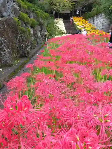 横浜　西方寺(神奈川県)