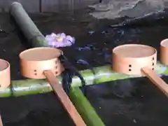 賀茂御祖神社（下鴨神社）の手水