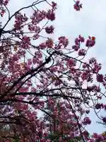 龍光寺(東京都)