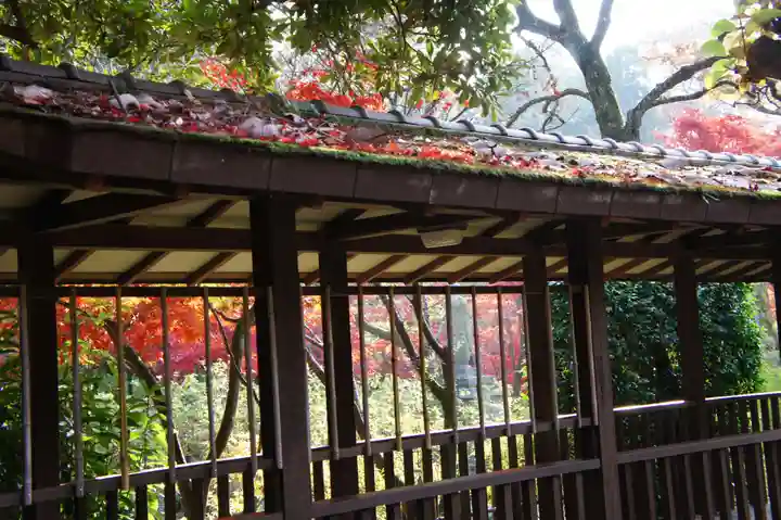 本土寺(千葉県)