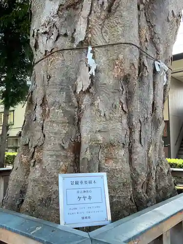 住吉神社(岩手県)