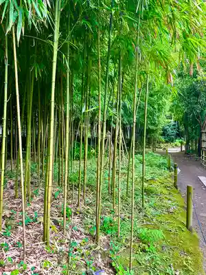 浄智寺(神奈川県)