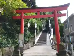 富岡八幡宮の鳥居