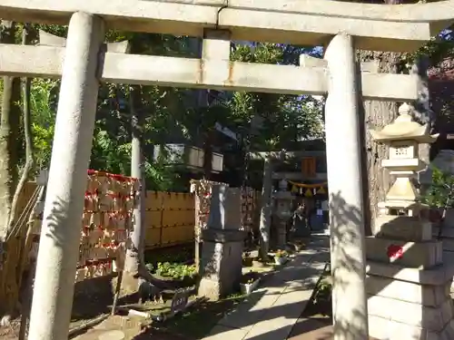 高円寺氷川神社の鳥居