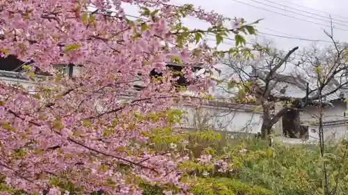 長円寺の景色