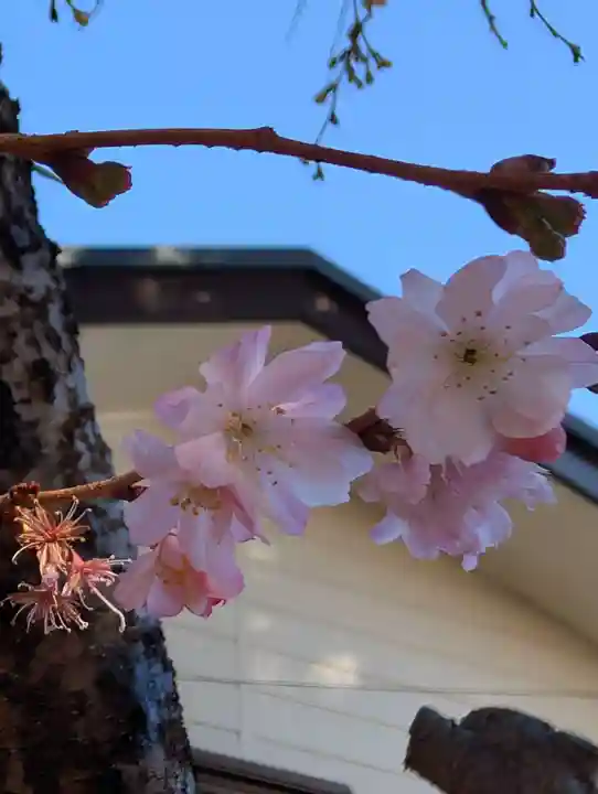 白幡八幡神社(神奈川県)