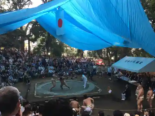 世田谷八幡宮のお祭り