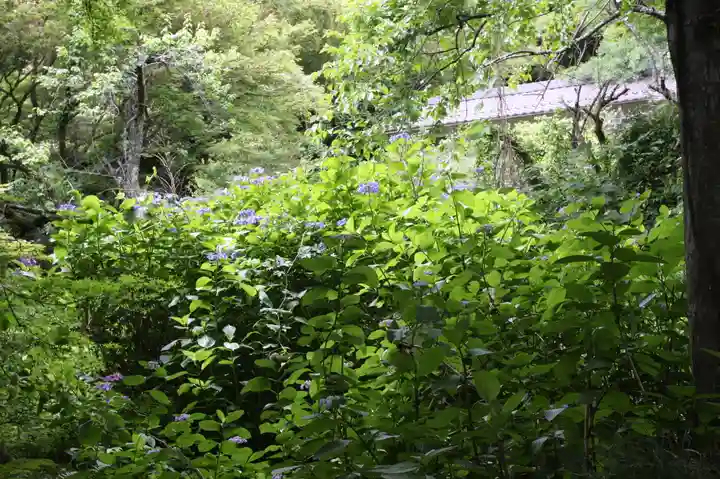 寶泉坊(滋賀県)