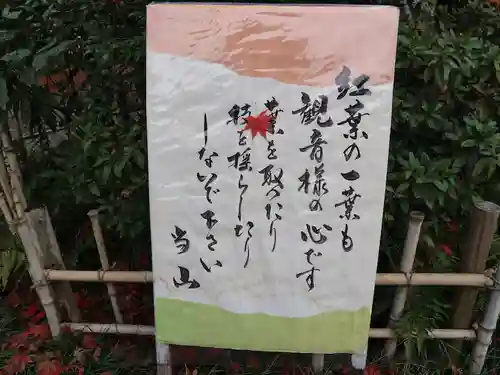 今熊野観音寺(京都府)