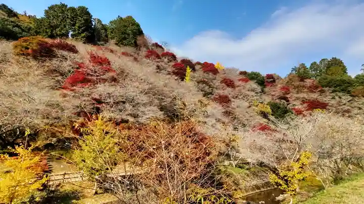 瑠璃光山薬師寺の自然