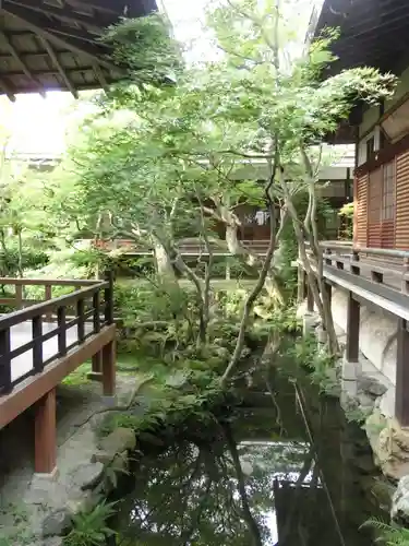 禅林寺（永観堂）の庭園