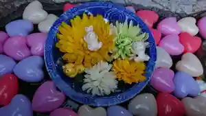 三輪神社の庭園(2021年02月07日(日) 20時41分40秒投稿)