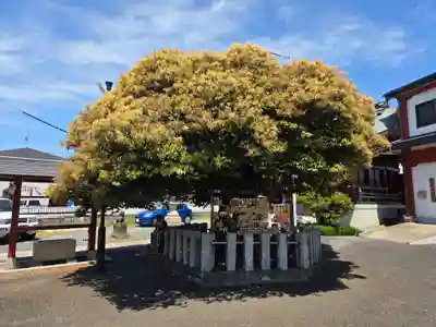 多摩川諏訪神社(東京都)