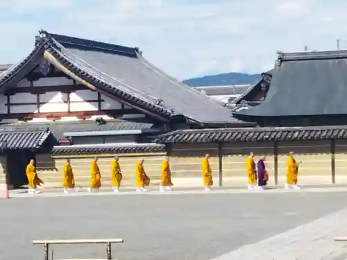 東寺（教王護国寺）(京都府)
