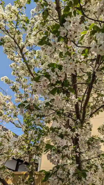 粟嶋堂宗徳寺の自然